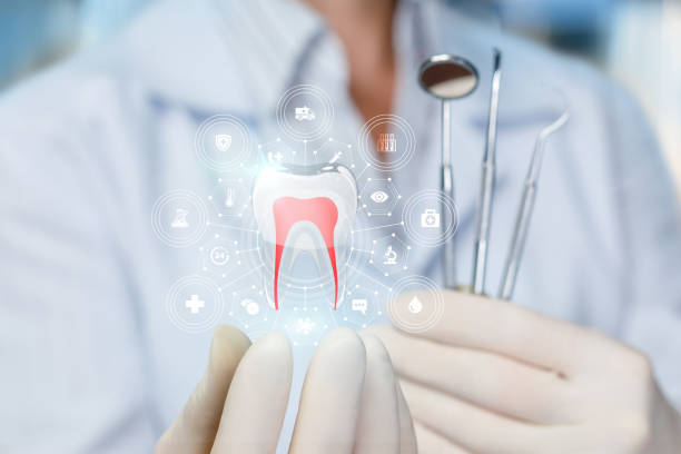 Professional Holistic Dental Care Services in Solomons, MD